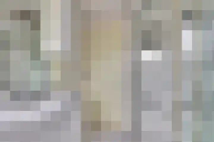 Freesiastraat 10 Drunen thumbnail 14