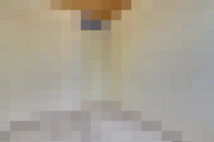 Freesiastraat 10 Drunen thumbnail 19