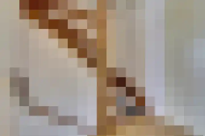 Freesiastraat 10 Drunen thumbnail 20