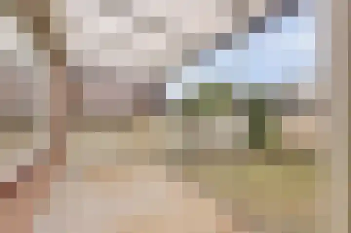 Freesiastraat 10 Drunen thumbnail 25