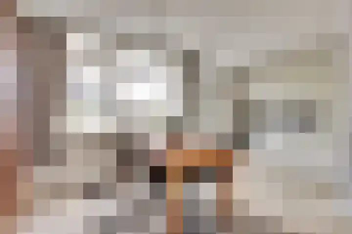 Freesiastraat 10 Drunen thumbnail 5