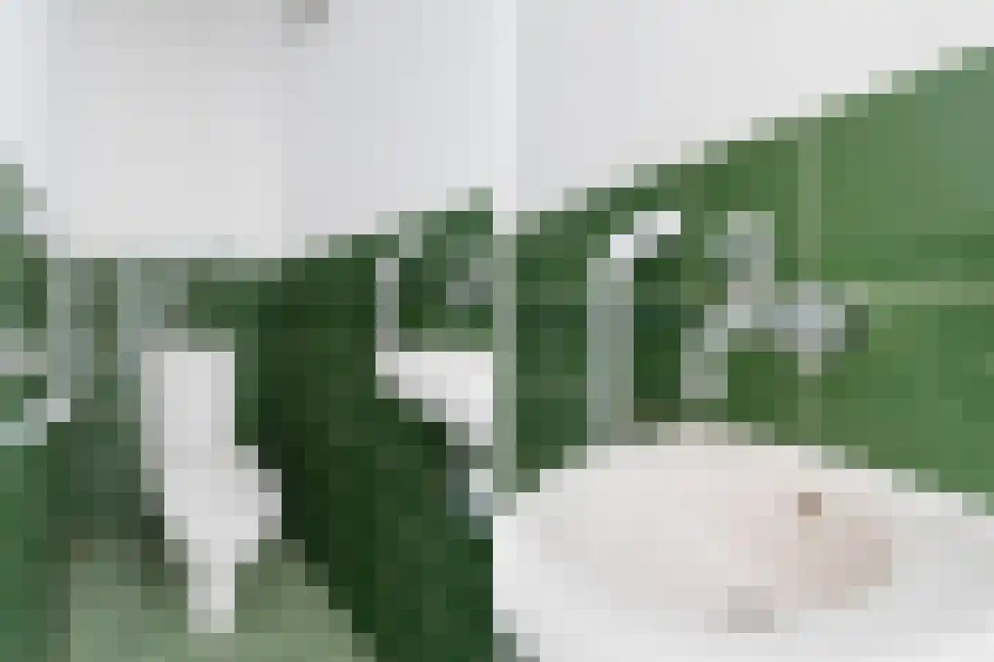 Freesiastraat 11 Berkel en Rodenrijs thumbnail 10