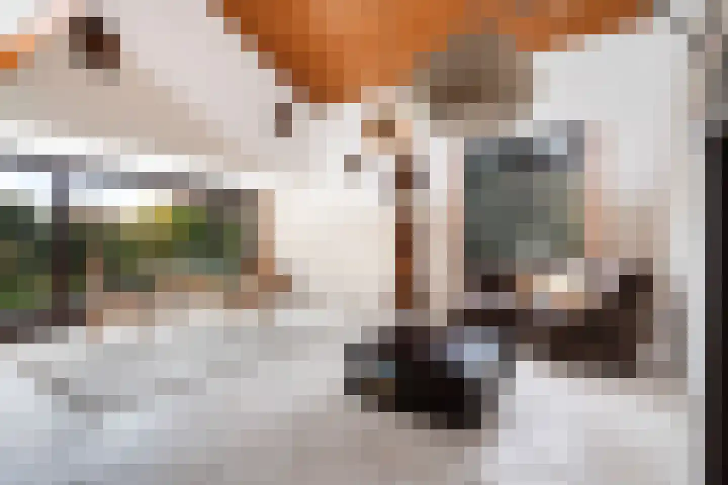 Freesiastraat 11 Berkel en Rodenrijs thumbnail 13