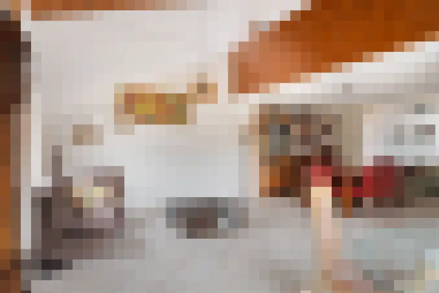 Freesiastraat 11 Berkel en Rodenrijs thumbnail 14