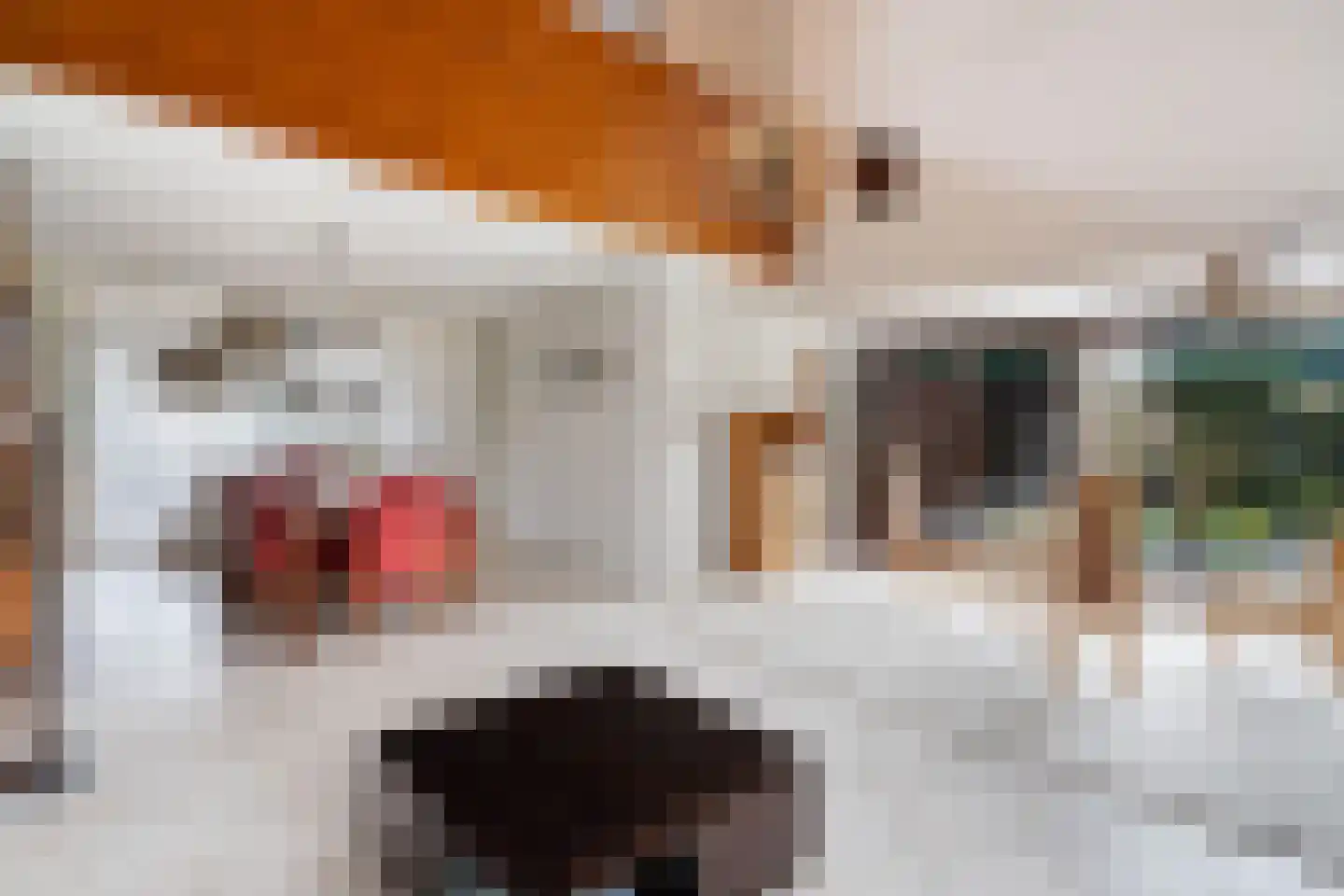 Freesiastraat 11 Berkel en Rodenrijs thumbnail 15
