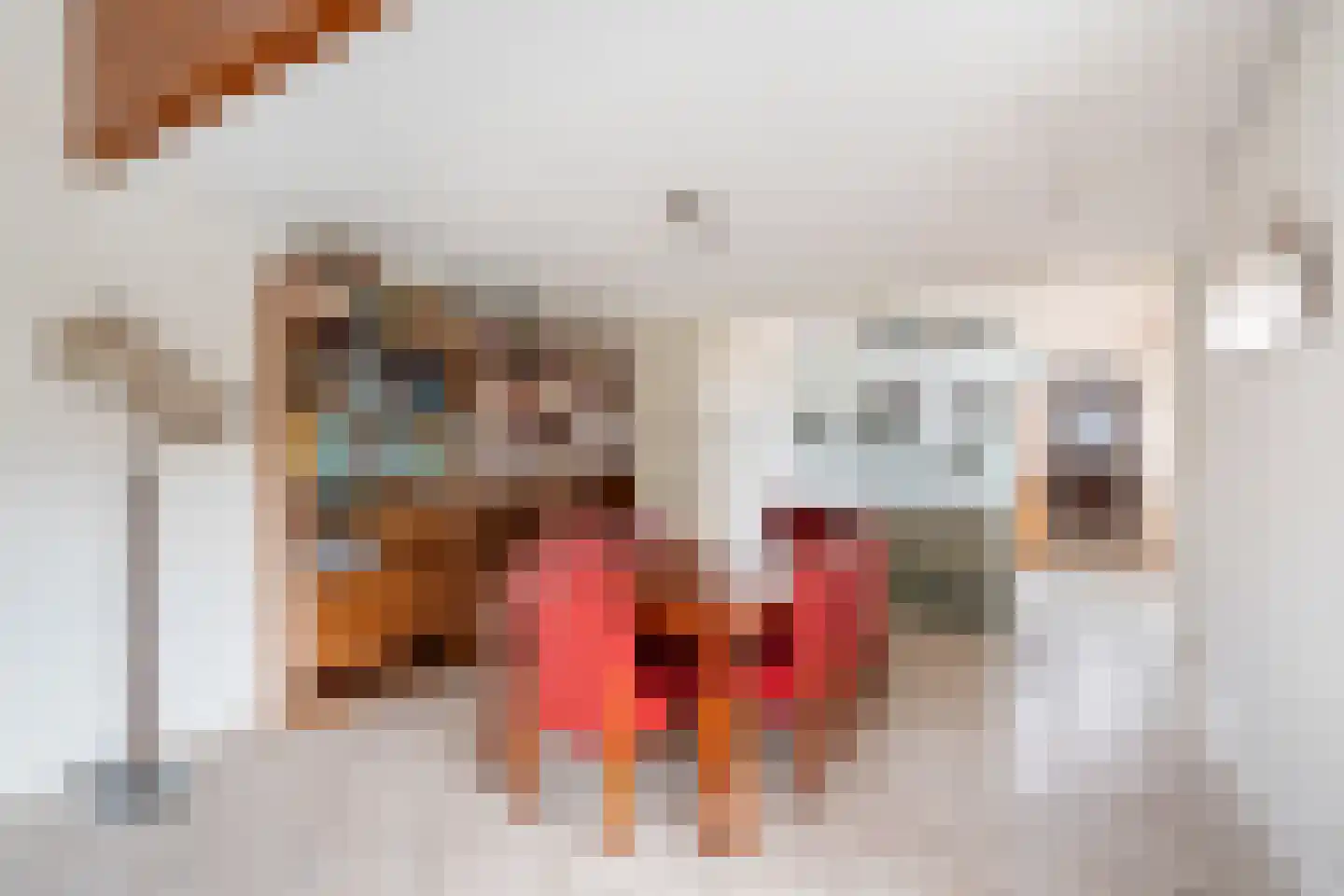 Freesiastraat 11 Berkel en Rodenrijs thumbnail 16