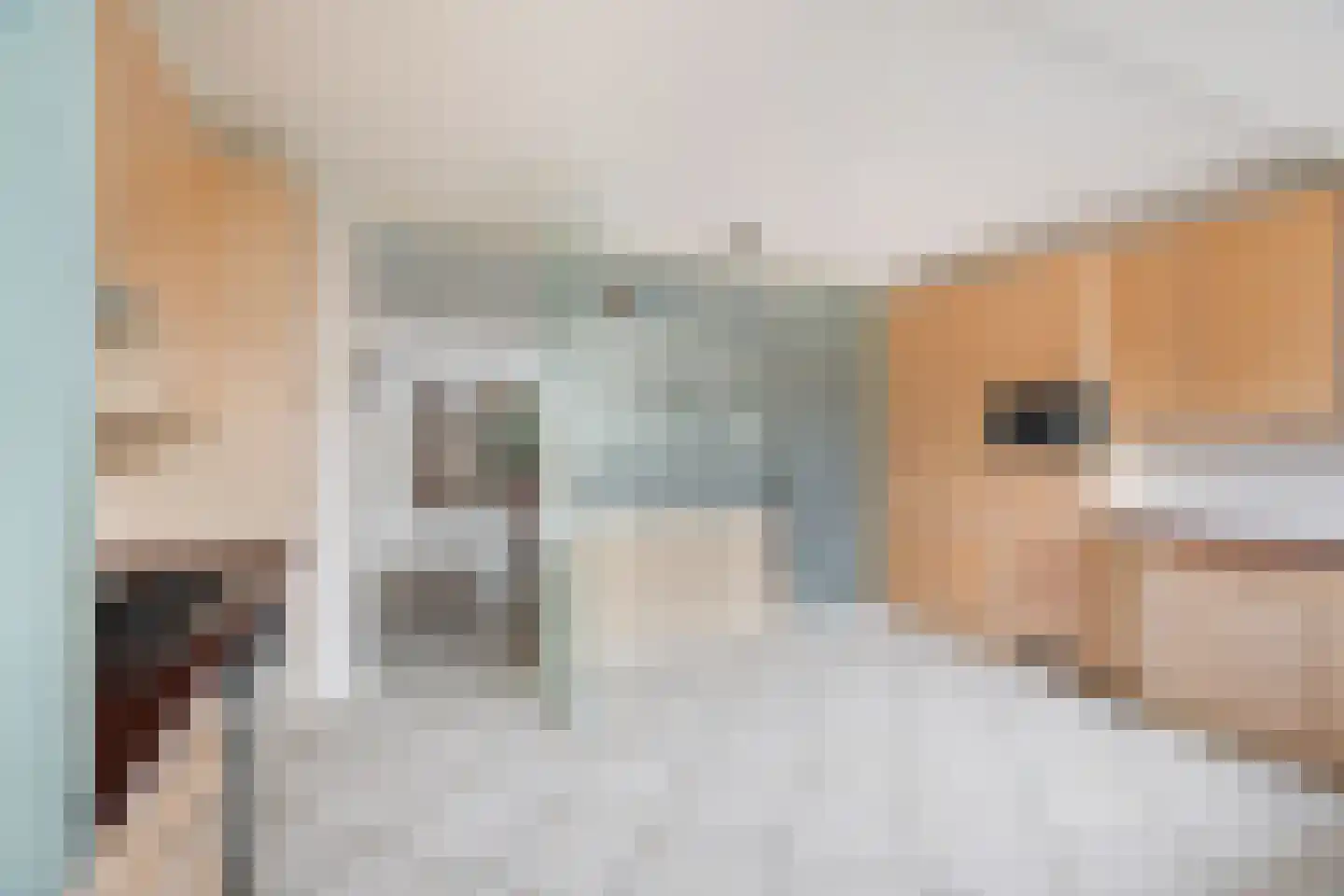 Freesiastraat 11 Berkel en Rodenrijs thumbnail 19