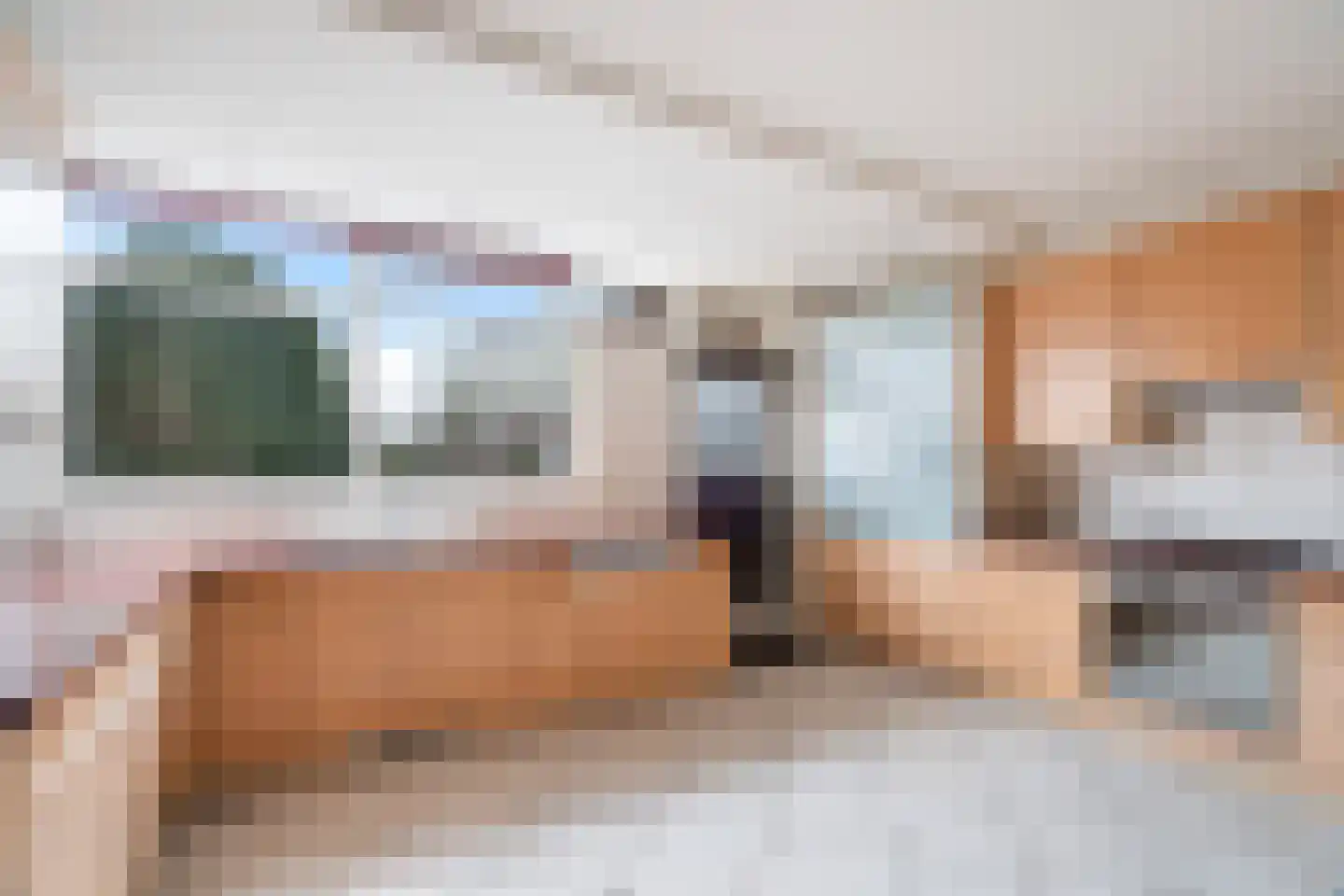 Freesiastraat 11 Berkel en Rodenrijs thumbnail 21