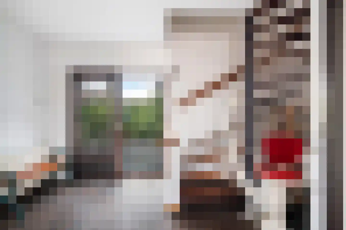 Freesiastraat 11 Berkel en Rodenrijs thumbnail 23