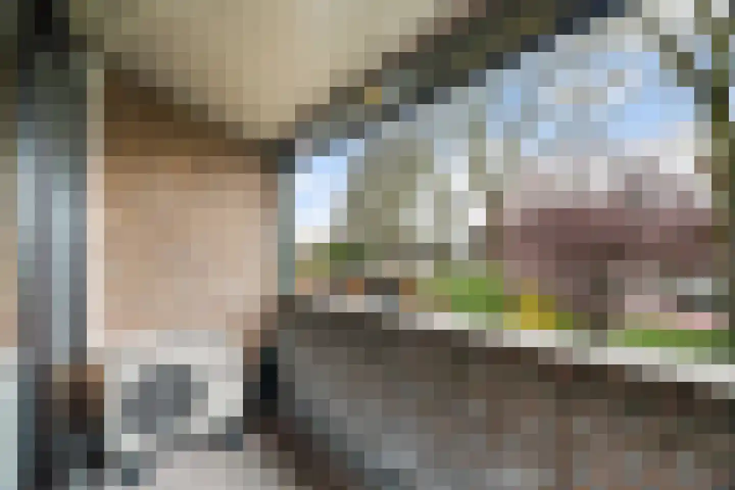 Freesiastraat 11 Berkel en Rodenrijs thumbnail 35
