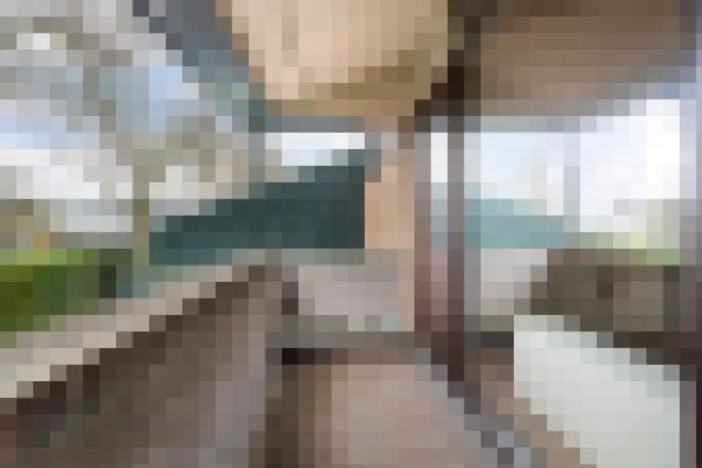 Freesiastraat 11 Berkel en Rodenrijs thumbnail 36
