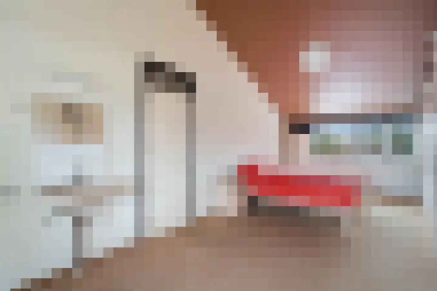 Freesiastraat 11 Berkel en Rodenrijs thumbnail 37