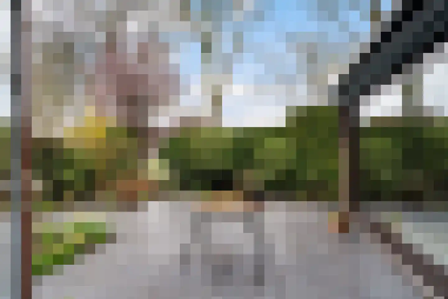 Freesiastraat 11 Berkel en Rodenrijs thumbnail 48