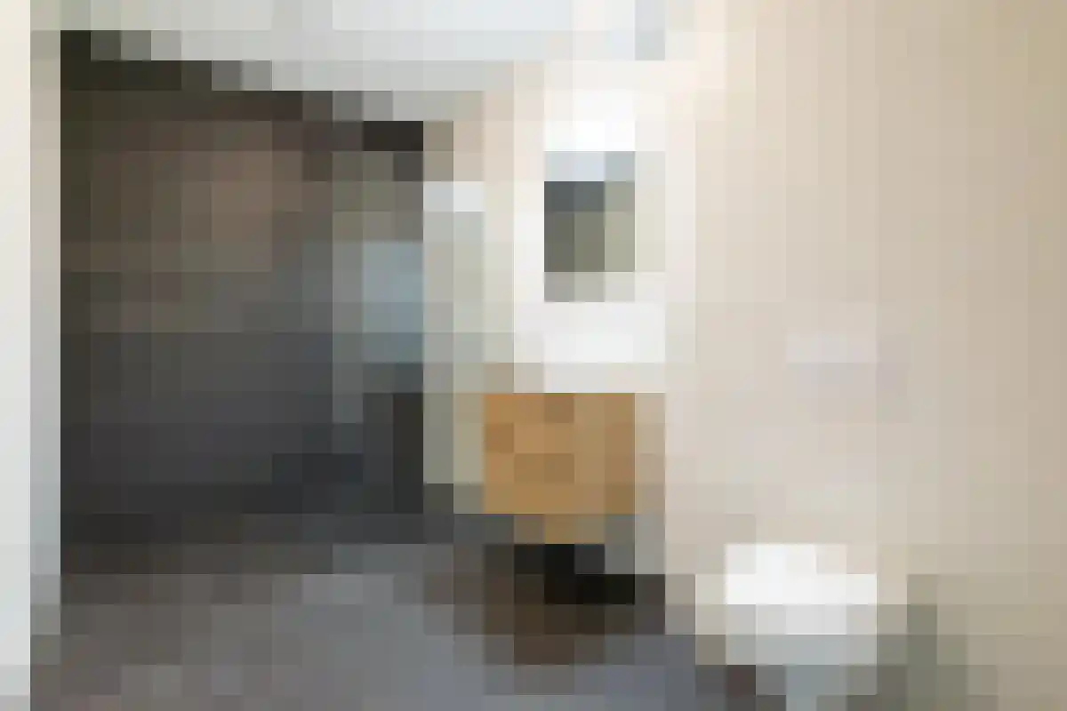 Freesiastraat 18 Rijnsburg thumbnail 5