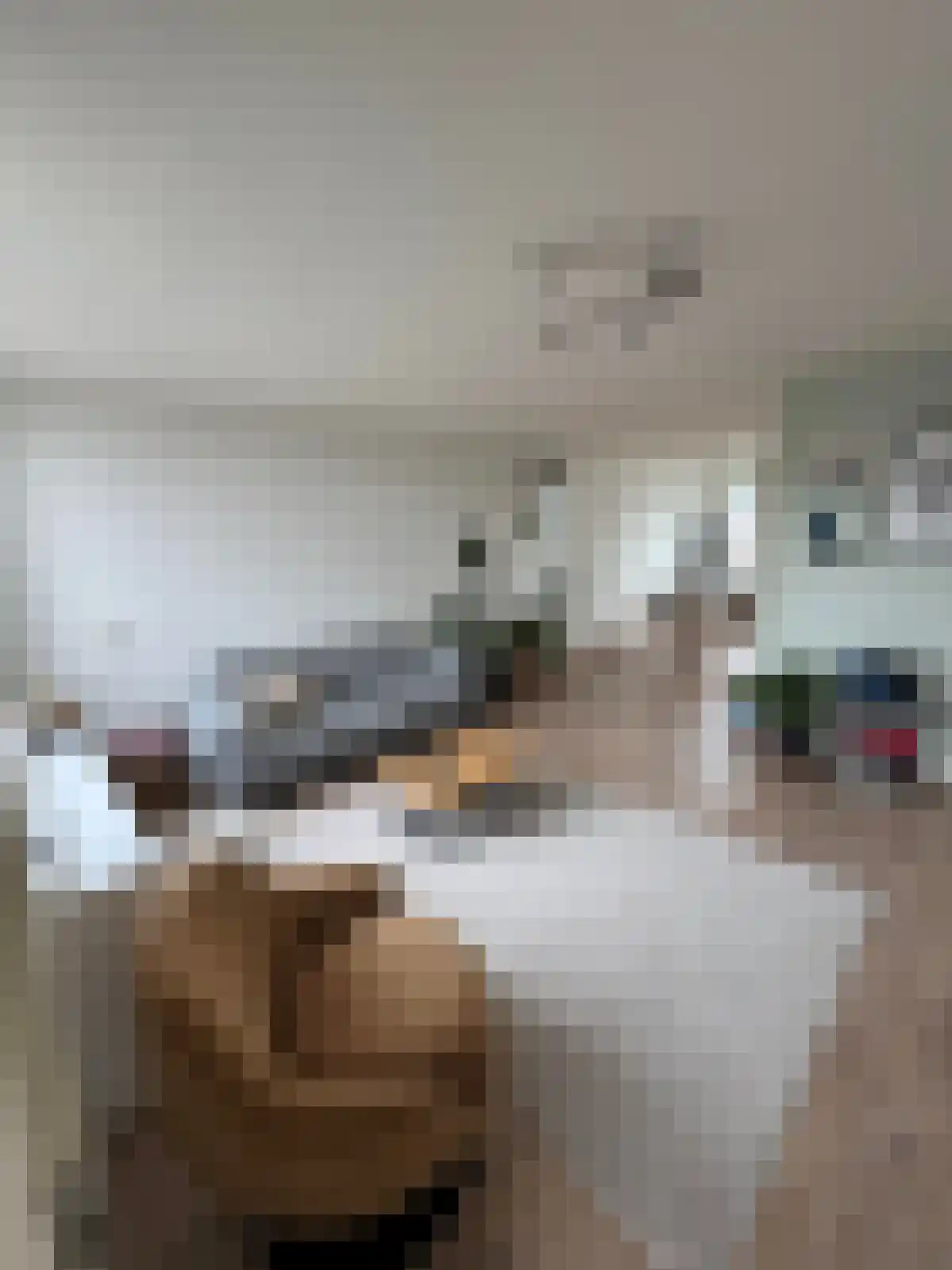 Freesiastraat 4 Capelle aan den IJssel thumbnail 4