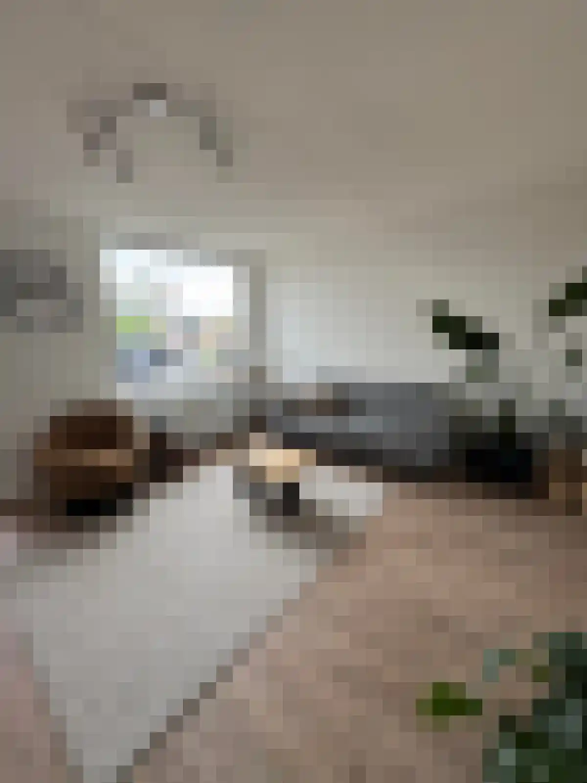 Freesiastraat 4 Capelle aan den IJssel thumbnail 5