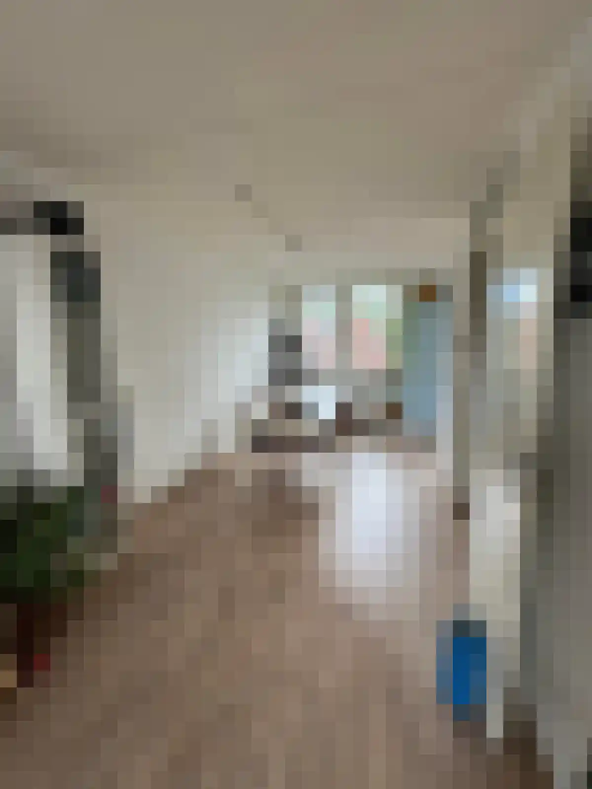 Freesiastraat 4 Capelle aan den IJssel thumbnail 6