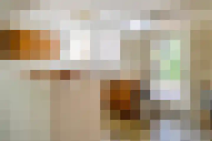 Freesiastraat 5 Berkel en Rodenrijs thumbnail 13