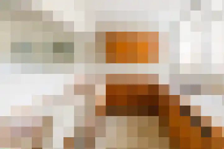 Freesiastraat 5 Berkel en Rodenrijs thumbnail 14