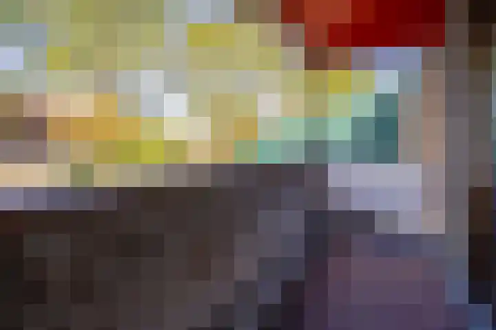 Freesiastraat 5 Berkel en Rodenrijs thumbnail 25