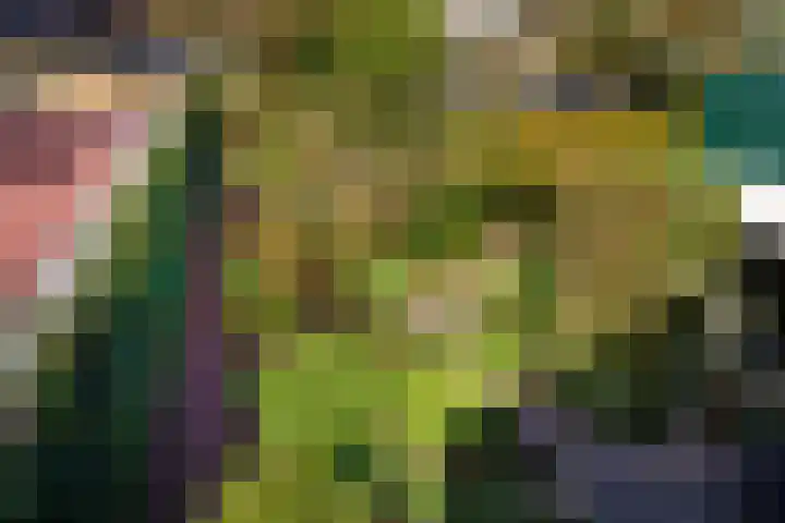 Freesiastraat 5 Berkel en Rodenrijs thumbnail 26