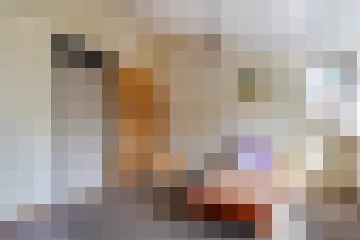 Freesiastraat 5 Berkel en Rodenrijs thumbnail 30