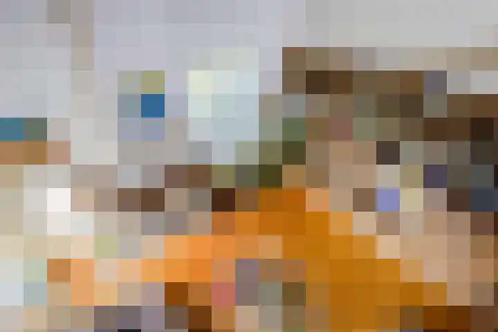 Freesiastraat 5 Berkel en Rodenrijs thumbnail 35