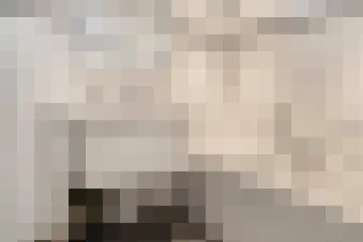 Freesiastraat 5 Berkel en Rodenrijs thumbnail 37