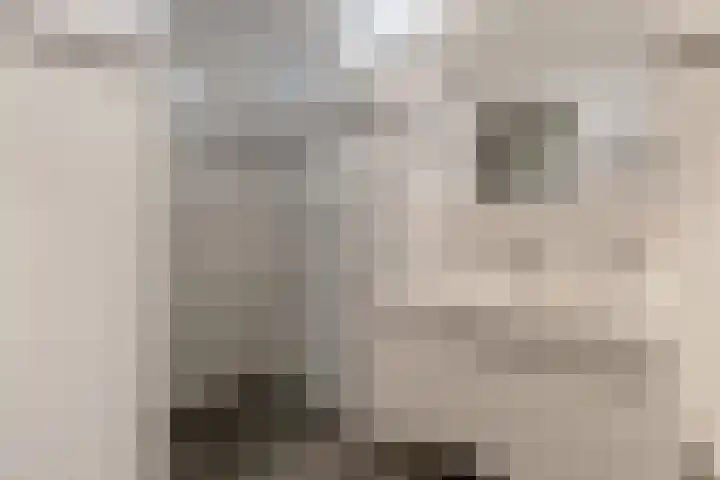Freesiastraat 5 Berkel en Rodenrijs thumbnail 38