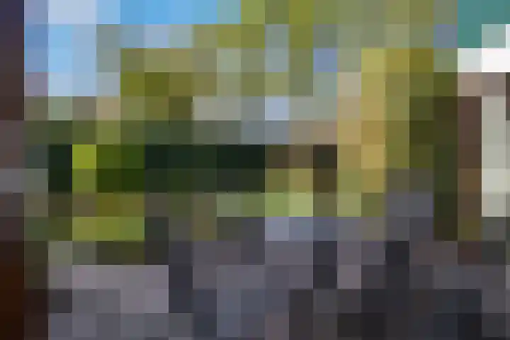 Freesiastraat 5 Berkel en Rodenrijs thumbnail 40
