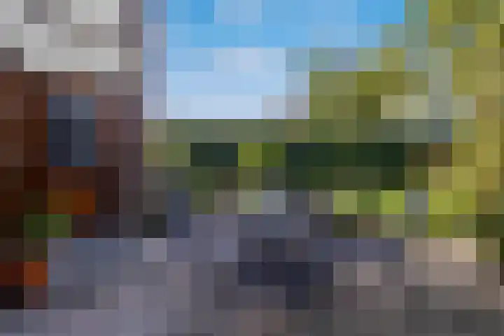 Freesiastraat 5 Berkel en Rodenrijs thumbnail 41