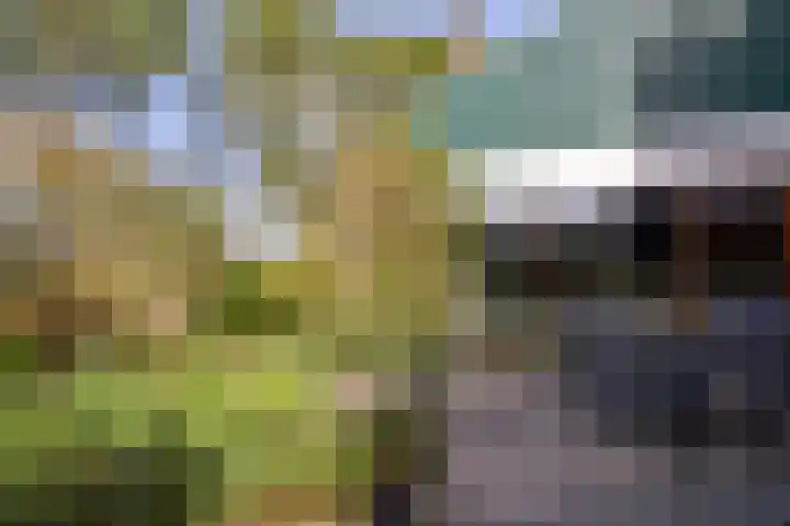 Freesiastraat 5 Berkel en Rodenrijs thumbnail 42