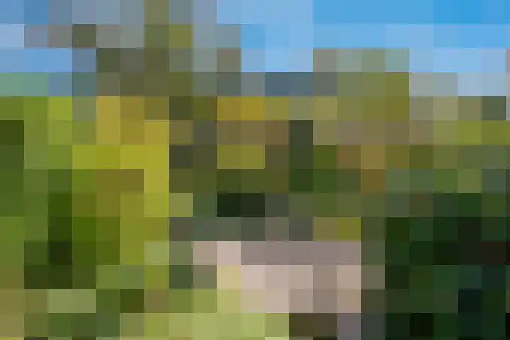 Freesiastraat 5 Berkel en Rodenrijs thumbnail 45