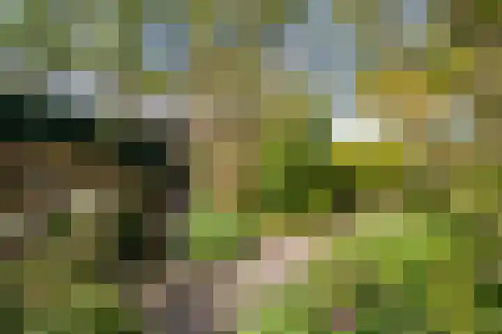 Freesiastraat 5 Berkel en Rodenrijs thumbnail 47