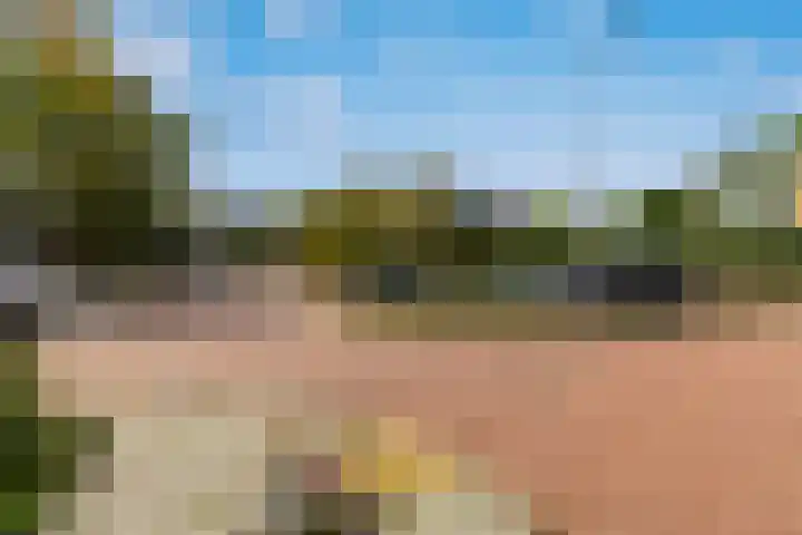 Freesiastraat 5 Berkel en Rodenrijs thumbnail 48