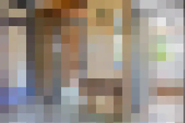 Freesiastraat 5 Berkel en Rodenrijs thumbnail 5