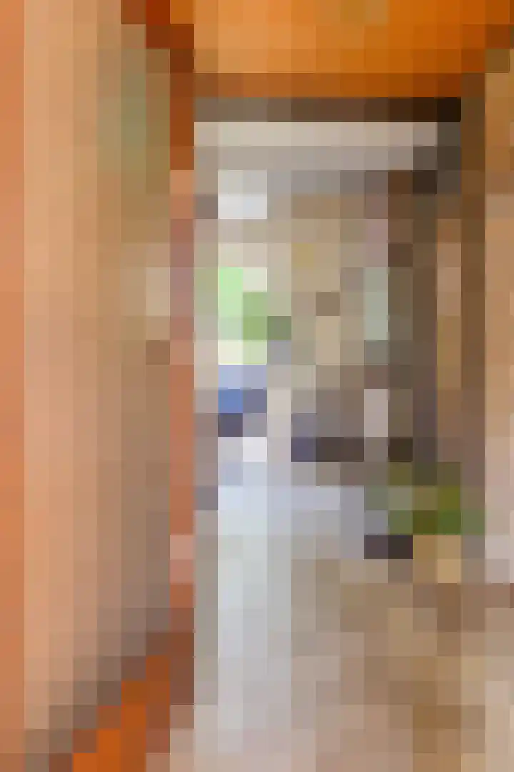 Freesiastraat 5 Berkel en Rodenrijs thumbnail 6