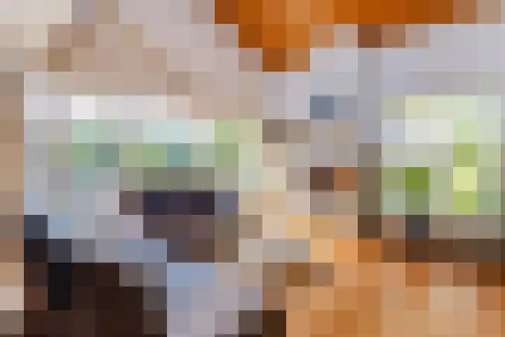 Freesiastraat 5 Berkel en Rodenrijs thumbnail 8