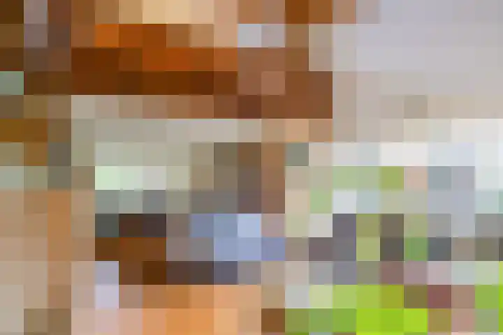 Freesiastraat 5 Berkel en Rodenrijs thumbnail 9