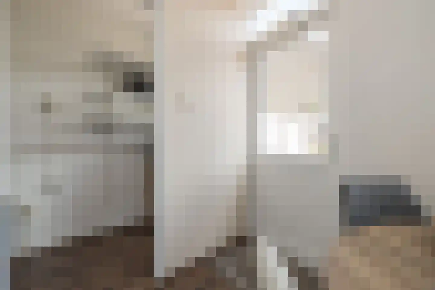 Freesiastraat 7 Sassenheim thumbnail 17