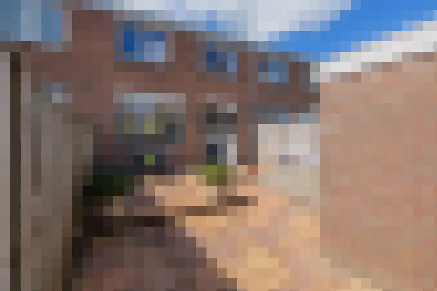 Freesiastraat 7 Sassenheim thumbnail 22