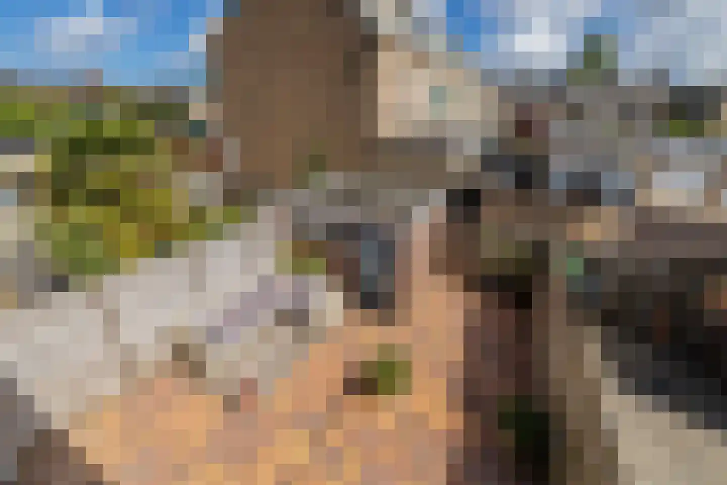 Freesiastraat 7 Sassenheim thumbnail 34