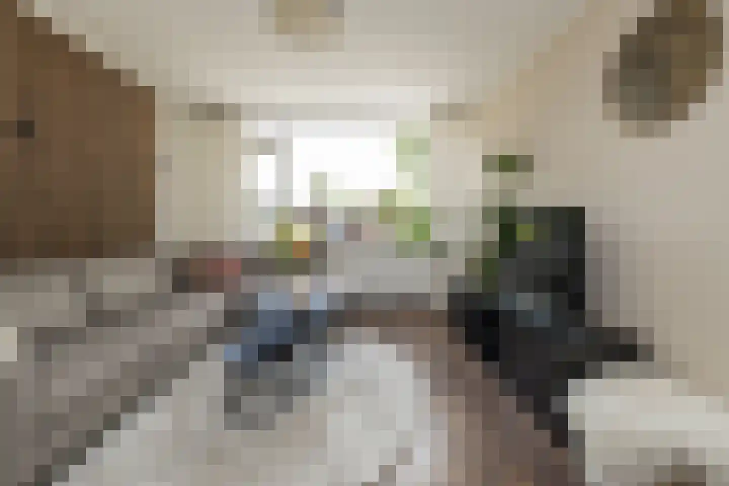Freesiastraat 7 Sassenheim thumbnail 5