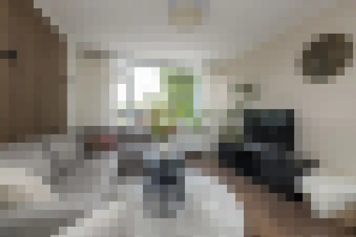 Freesiastraat 7 Sassenheim thumbnail 6