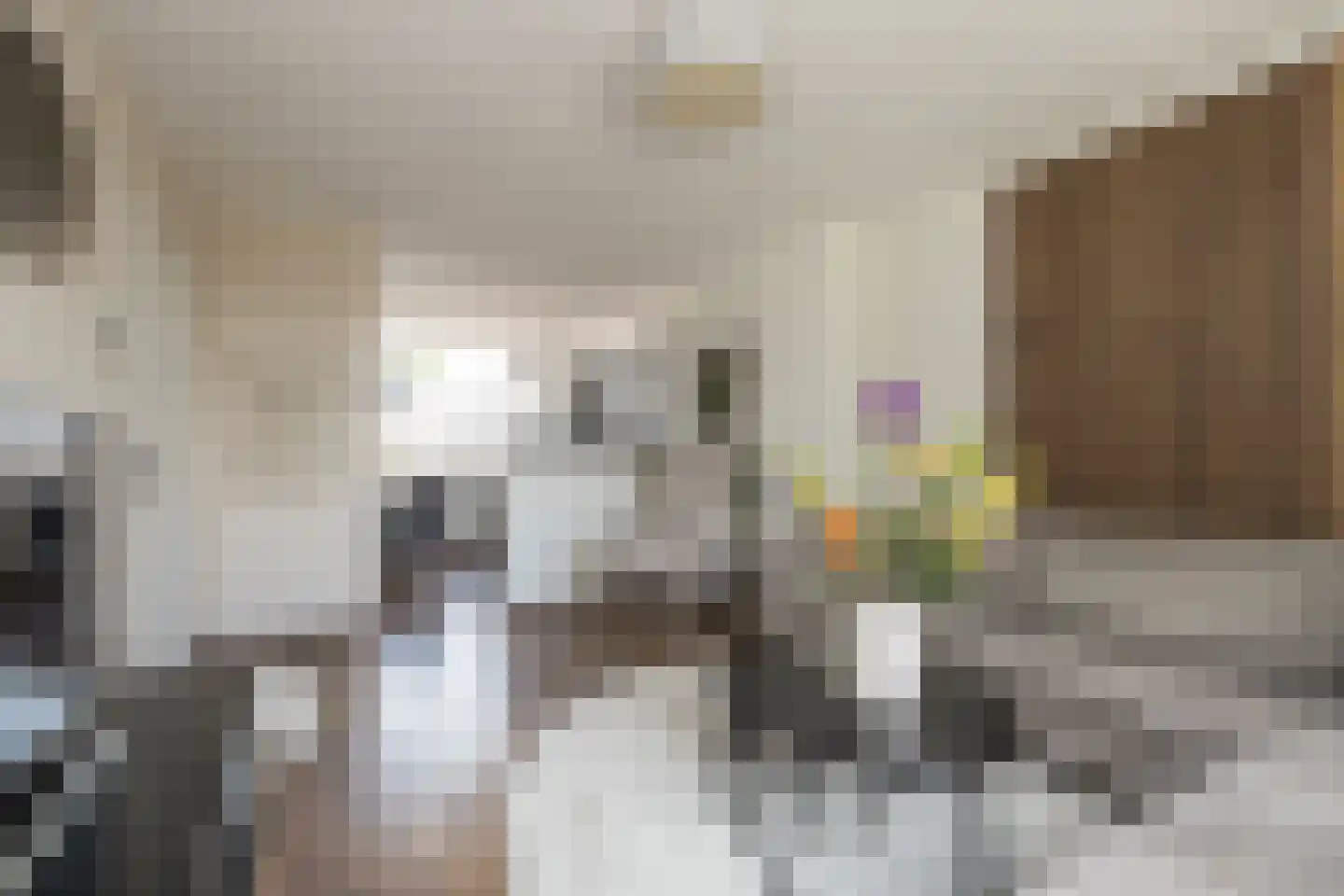 Freesiastraat 7 Sassenheim thumbnail 7