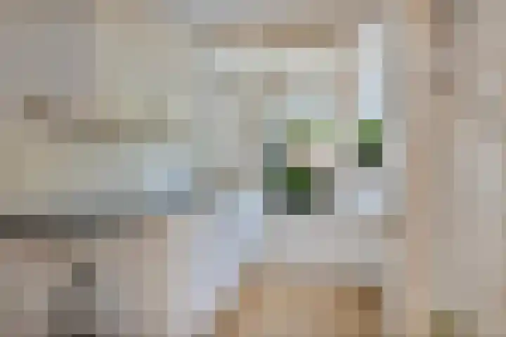 Freesiastraat 8 Rozenburg thumbnail 12