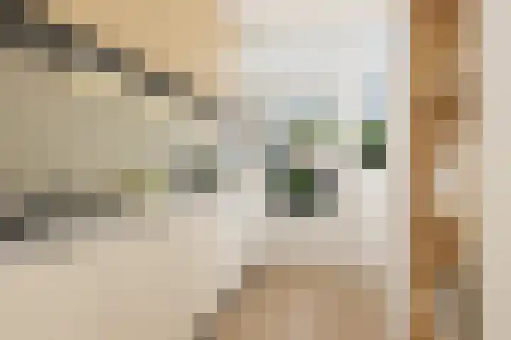 Freesiastraat 8 Rozenburg thumbnail 13