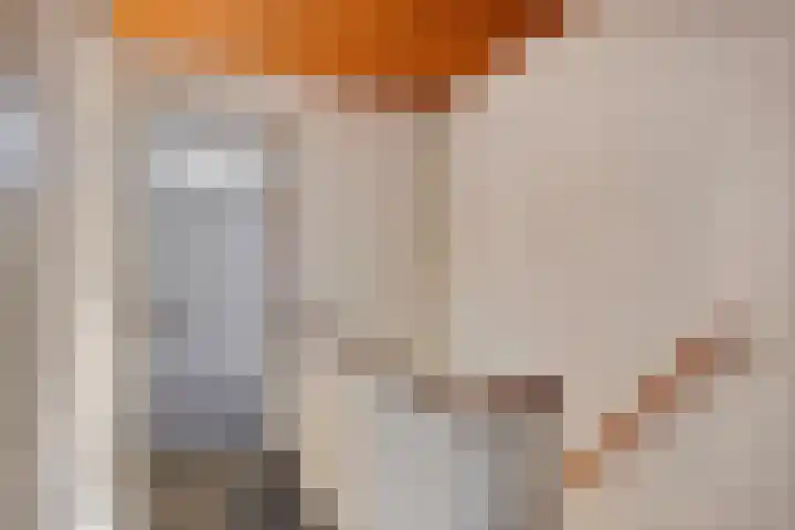 Freesiastraat 8 Rozenburg thumbnail 17