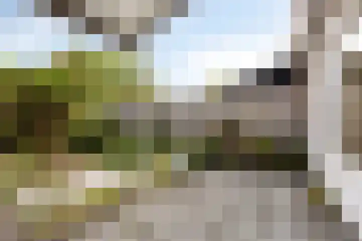 Freesiastraat 8 Rozenburg thumbnail 20