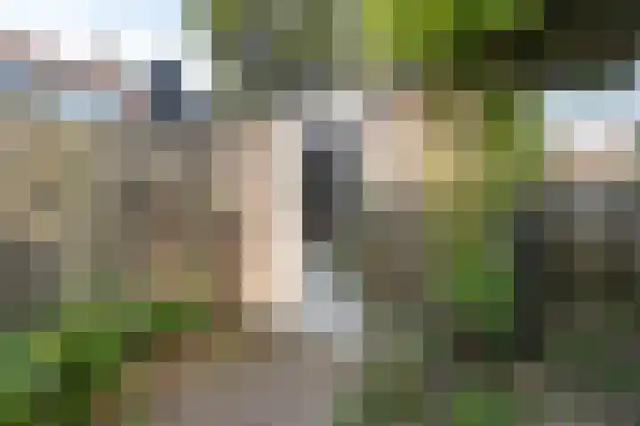 Freesiastraat 8 Rozenburg thumbnail 21